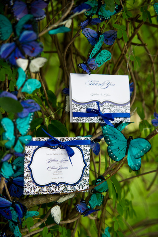 photo of Weddingstar